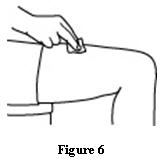 image of Figure 6